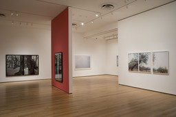Installation photo, 9 of 25