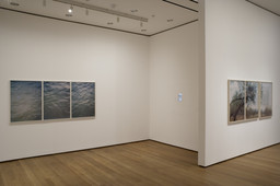 Installation photo, 10 of 25