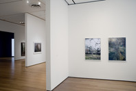 Present Tense: Photographs by JoAnn Verburg. Jul 15–Nov 5, 2007.