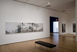 Installation photo, 13 of 25