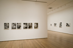 Installation photo, 17 of 25