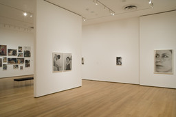 Installation photo, 18 of 25