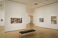 Present Tense: Photographs by JoAnn Verburg. Jul 15–Nov 5, 2007.