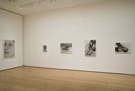 Present Tense: Photographs by JoAnn Verburg. Jul 15–Nov 5, 2007.