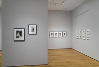 Edward Steichen Photography Collection Galleries: Rotation 5. Aug 8, 2007–Mar 3, 2008. 1 other work identified