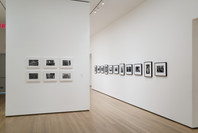 Edward Steichen Photography Collection Galleries: Rotation 5. Aug 8, 2007–Mar 3, 2008.