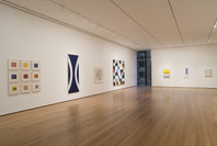 Focus: Ellsworth Kelly. Sep 19, 2007–Mar 3, 2008. 7 other works identified
