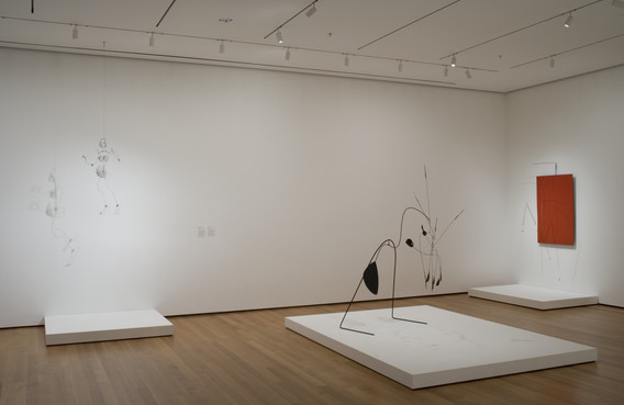 アート・デザイン・音楽 Photography at MoMA New York/New Wave | MoMA