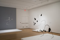 Focus: Alexander Calder. Sep 14, 2007–Apr 14, 2008. 2 other works identified