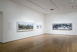 Installation photo, 9 of 11