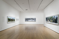 New Photography 2007: Tanyth Berkeley, Scott McFarland, Berni Searle. Sep 30, 2007–Jan 1, 2008.