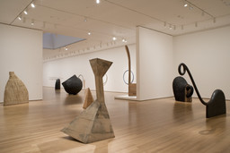 Installation photo, 3 of 47