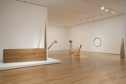 Installation photo, 18 of 47