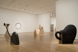 Installation photo, 19 of 47