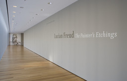 Installation photo, 1 of 32