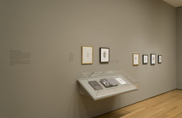 Installation photo, 6 of 32