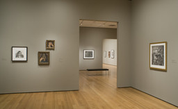 Installation photo, 19 of 32