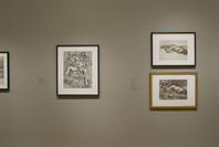 Lucian Freud: The Painter’s Etchings. Dec 16, 2007–Mar 10, 2008.