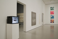Multiplex: Directions in Art, 1970 to Now. Nov 21, 2007–Jul 21, 2008. 6 other works identified