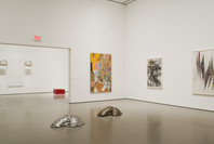 Multiplex: Directions in Art, 1970 to Now. Nov 21, 2007–Jul 21, 2008. 5 other works identified