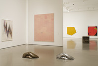 Multiplex: Directions in Art, 1970 to Now. Nov 21, 2007–Jul 21, 2008. 5 other works identified