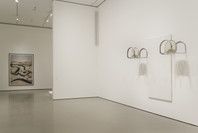 Multiplex: Directions in Art, 1970 to Now. Nov 21, 2007–Jul 21, 2008. 2 other works identified