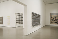 Multiplex: Directions in Art, 1970 to Now. Nov 21, 2007–Jul 21, 2008. 4 other works identified