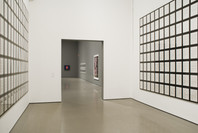 Multiplex: Directions in Art, 1970 to Now. Nov 21, 2007–Jul 21, 2008. 3 other works identified