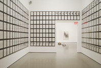 Multiplex: Directions in Art, 1970 to Now. Nov 21, 2007–Jul 21, 2008. 2 other works identified