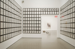 Installation photo, 13 of 42