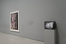 Installation photo, 14 of 42