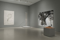 Multiplex: Directions in Art, 1970 to Now. Nov 21, 2007–Jul 21, 2008. 3 other works identified