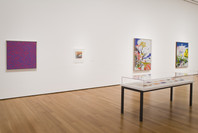 Color Chart: Reinventing Color, 1950 to Today. Mar 2–May 12, 2008.