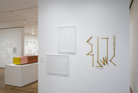 New Perspectives in Latin American Art, 1930–2006: Selections from a Decade of Acquisitions. Nov 21, 2007–Feb 25, 2008.