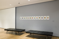 New Perspectives in Latin American Art, 1930–2006: Selections from a Decade of Acquisitions. Nov 21, 2007–Feb 25, 2008.