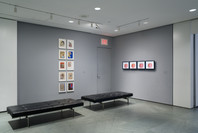 New Perspectives in Latin American Art, 1930–2006: Selections from a Decade of Acquisitions. Nov 21, 2007–Feb 25, 2008. 1 other work identified