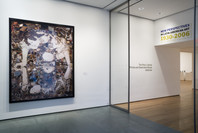 New Perspectives in Latin American Art, 1930–2006: Selections from a Decade of Acquisitions. Nov 21, 2007–Feb 25, 2008.