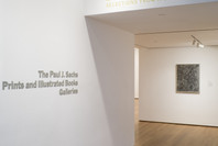 New Perspectives in Latin American Art, 1930–2006: Selections from a Decade of Acquisitions. Nov 21, 2007–Feb 25, 2008.