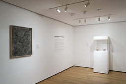 Installation photo, 29 of 47