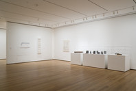 New Perspectives in Latin American Art, 1930–2006: Selections from a Decade of Acquisitions. Nov 21, 2007–Feb 25, 2008.