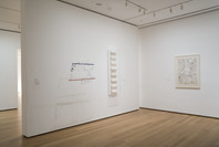 New Perspectives in Latin American Art, 1930–2006: Selections from a Decade of Acquisitions. Nov 21, 2007–Feb 25, 2008.
