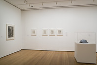New Perspectives in Latin American Art, 1930–2006: Selections from a Decade of Acquisitions. Nov 21, 2007–Feb 25, 2008. 1 other work identified