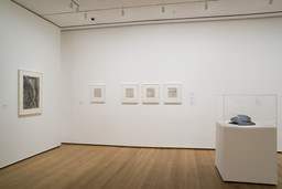 Installation photo, 35 of 47