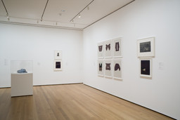Installation photo, 36 of 47