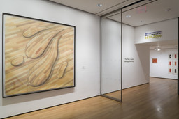 Installation photo, 1 of 47