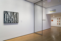 New Perspectives in Latin American Art, 1930–2006: Selections from a Decade of Acquisitions. Nov 21, 2007–Feb 25, 2008. 1 other work identified