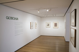 Installation photo, 2 of 17