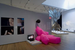 Installation photo, 14 of 32