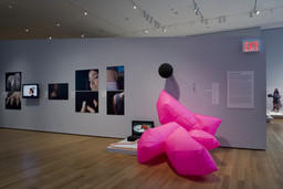 Installation photo, 15 of 32