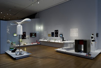 Design and the Elastic Mind. Feb 24–May 12, 2008. 2 other works identified